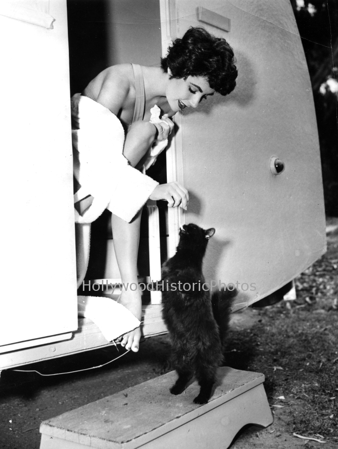 Elizabeth Taylor 1951 on location wm.jpg